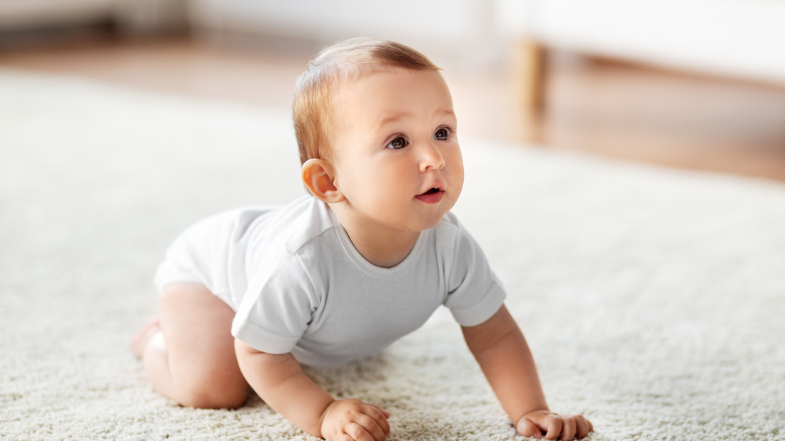 Eco-Friendly Floor Cleaners That Are Safe for Crawling Babies